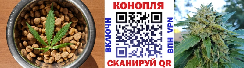 Купить где  Пикалёво  Canna-Cookies марихуана 