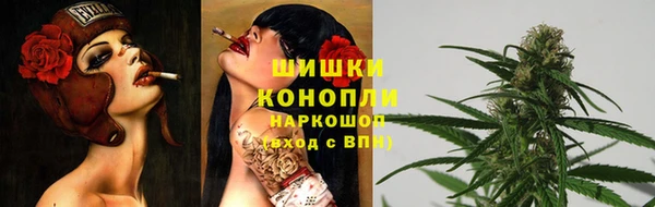 spice Алексин