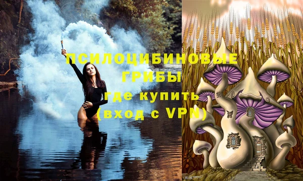 молекула духа Аркадак
